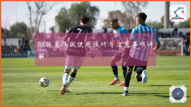 ng体育PC版使用技巧与注意事项详解