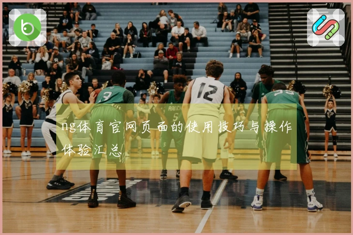 ng体育官网页面的使用技巧与操作体验汇总