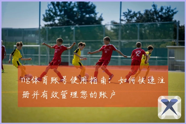 ng体育账号使用指南：如何快速注册并有效管理您的账户