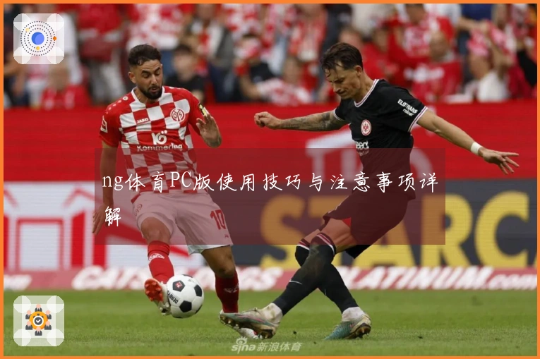 ng体育PC版使用技巧与注意事项详解