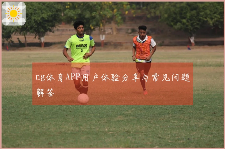 ng体育APP用户体验分享与常见问题解答